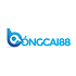 bongcai88