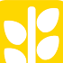 minhanhnetgroup